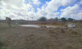 Imagem 2: Terreno, sitio Chácara com venda por R$180.000