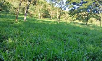 Imagem: Sítio 49 hectares