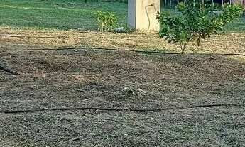 Imagem 5: TERRENO PARA CHÁCARA R$ 70000