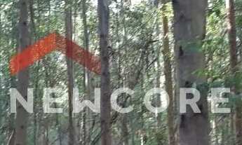 Imagem 7: Sítio em estrada principal do córrego das moças - Feital - Adrianópolis/PR