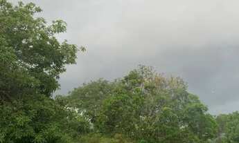 Imagem 4: VENDO CHÁCARA - 3.000 m² NO NOVO GAMA