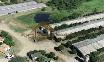 Imagem 5: Sitio com granjas, 200 mil aves