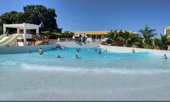 Imagem 4: Lacqua di Roma 2 pacotes promocionais por temporada