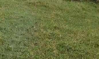 Imagem: Vendo terreno em Tamoios