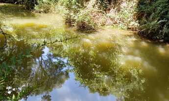 Imagem 5: Chácara 5 mil metros as margens do Ribeirão