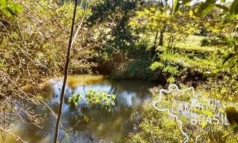 Imagem 5: Linda chácara de 1.500m²! Na beira do rio e no asfalto!!!
