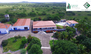 Imagem 5: Fazenda de 485 tarefas, 2 sedes, 14 mil m2 de construção