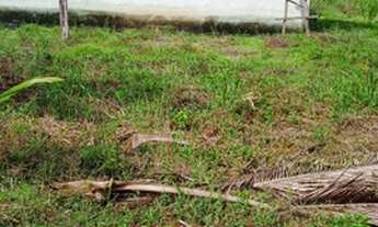 Imagem: Vendo um terreno