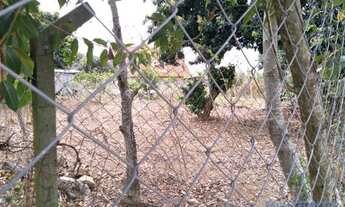 Imagem 3: TERRENO - PINHEIRINHO - SP