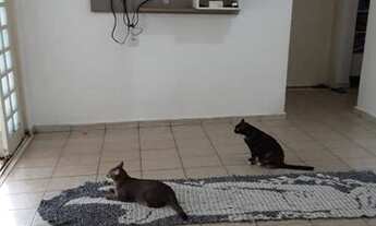 Imagem 3: Passo casa em Itacibà