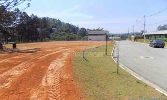 Imagem 6: AREA - PARQUE DOM HENRIQUE - SP