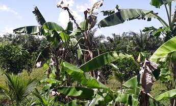 Imagem 7: Chácara Chácara com venda por R$100.000