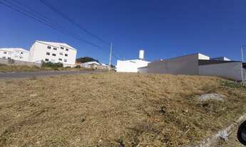 Imagem 3: Lote Santo Expedito