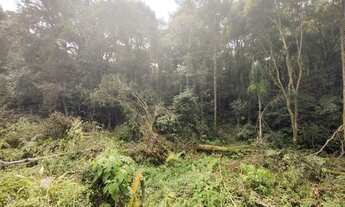 Imagem 2: Terreno na cidade de Morro Reuter-RS REF: 2303