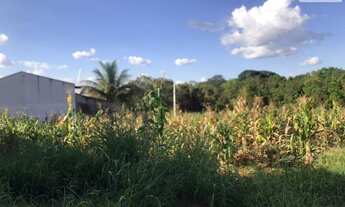 Imagem 3: Terreno Urbano para venda em Aparecida de Goiânia - GO