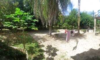 Imagem 3: Sítio em Mosqueiro