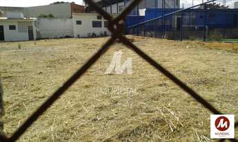 Imagem 3: Terreno (terreno normal