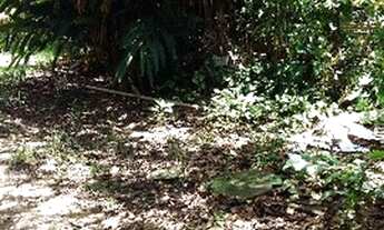 Imagem 3: Porto Alegre - Terreno Padrão - Glória