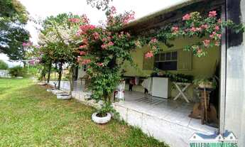 Imagem 6: Sítio dos seus sonhos em Águas Claras, com casa e diversas frutíferas