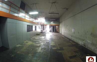 Imagem 6: Salão/Galpão (salão - térreo