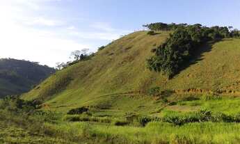 Imagem 2: Fazenda a 1h30 de Juiz de Fora - MG