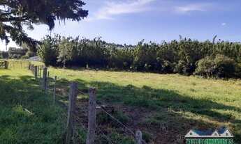 Imagem 7: Sítio em Águas claras 3 hectares somente 4 km do asfalto