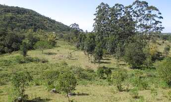 Imagem: SÍTIO - SÃO JOÃO DO RIO VERMELHO - SC