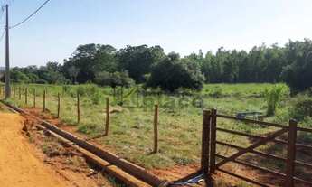 Imagem 2: Mendonça - Terreno Padrão - cristo