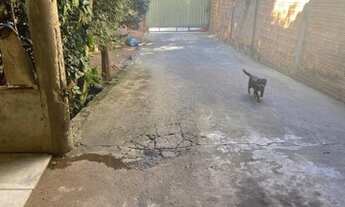 Imagem 2: Casa Casa com 3 dormitórios