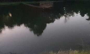 Imagem 5: Sítio a venda no município de Londrina