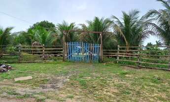 Imagem 3: Vendo um Sítio no Rio Preto Da Eva KM 21