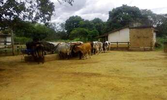 Imagem 6: CAETANóPOLIS - Fazenda - Centro
