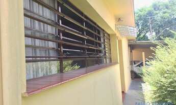 Imagem 7: CASA TÉRREA - JARDIM CICA - SP