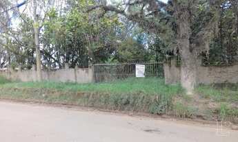 Imagem 4: Porto Alegre - Terreno Padrão - Lomba Do Pinheiro