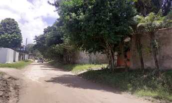 Imagem 5: Chácara com ótimo sobrado