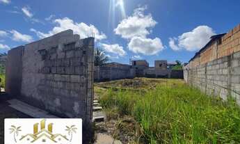 Imagem 3: Terreno Murado no Parque Ecológico