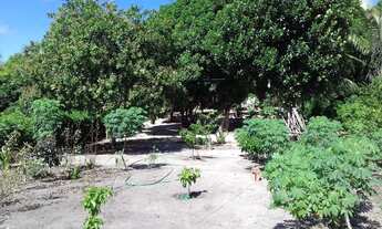 Imagem 3: Sítio Chácara com venda por R$167.000