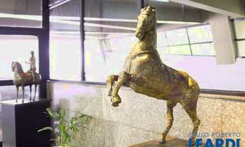 Imagem 4: COMERCIAL - BELA VISTA - SP