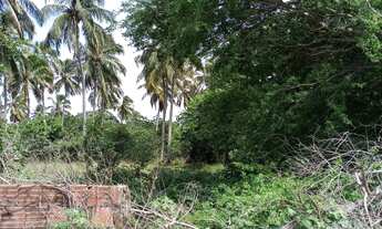 Imagem 3: Terreno em Lucena