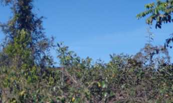 Imagem 4: Fazendinha 5 Hectares a 16k de 3 Marias
