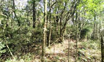 Imagem 3: Terreno na cidade de Morro Reuter-RS REF: 2303