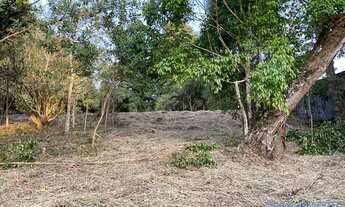 Imagem 6: AREA - PARQUE RESIDENCIAL ITAPETI - SP