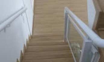 Imagem 7: APARTAMENTO - CAMPO BELO - SP