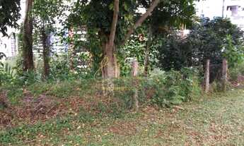 Imagem 4: Terreno em ótima localização. Confira!