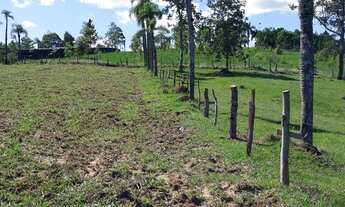 Imagem 3: Chácara em Nova Hartz