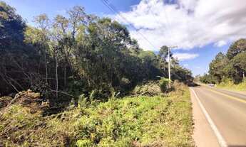 Imagem: Terreno na cidade de Morro Reuter-RS REF