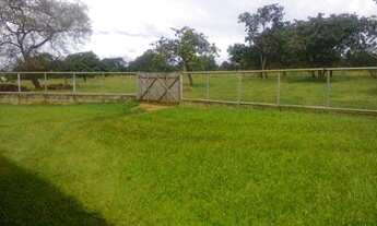 Imagem 7: CAETANóPOLIS - Fazenda - Centro