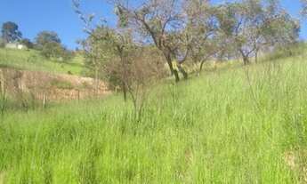 Imagem 2: Terreno para venda com 2500 metros quadrados em Saboó - São Roque - SP