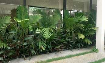 Imagem: CASA ASSOBRADADA - JARDIM PAULISTANO - SP