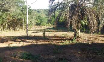 Imagem 2: Porto Alegre - Terreno Padrão - Belém Velho